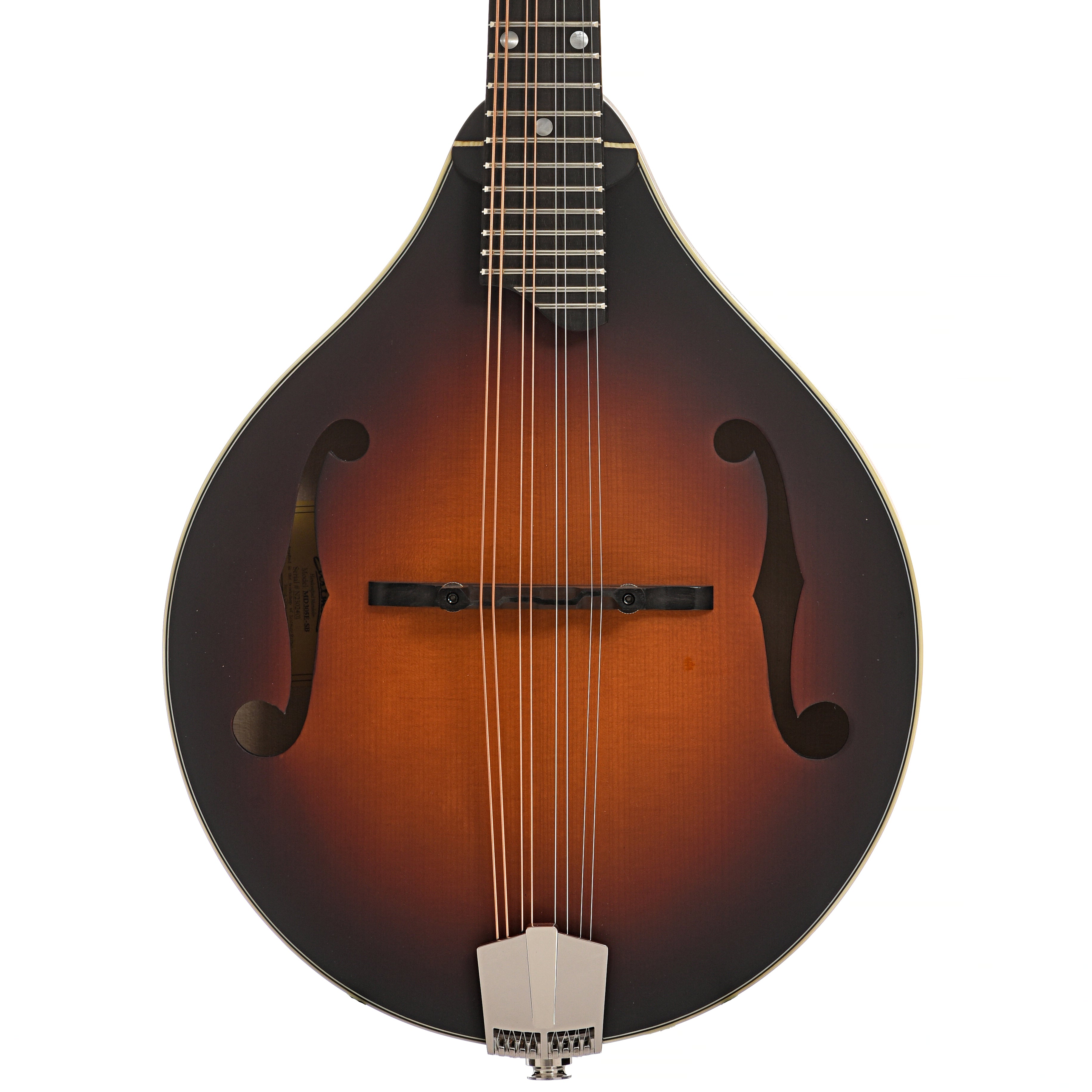 Eastman, Eastman MD305E-SB Mandolin & Gigbag, Sunburst