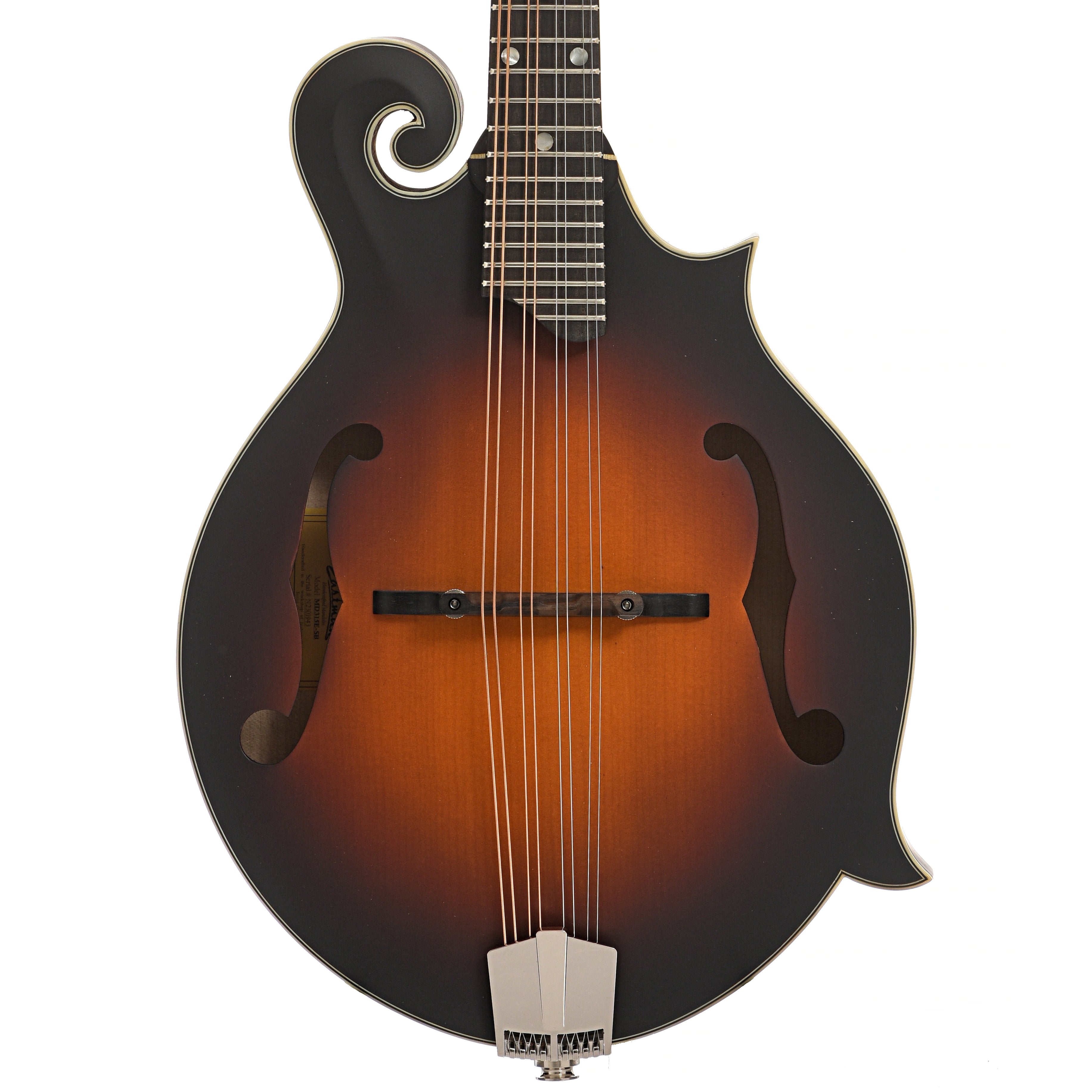 Eastman, Eastman MD315E-SB Mandolin & Gigbag, Sunburst