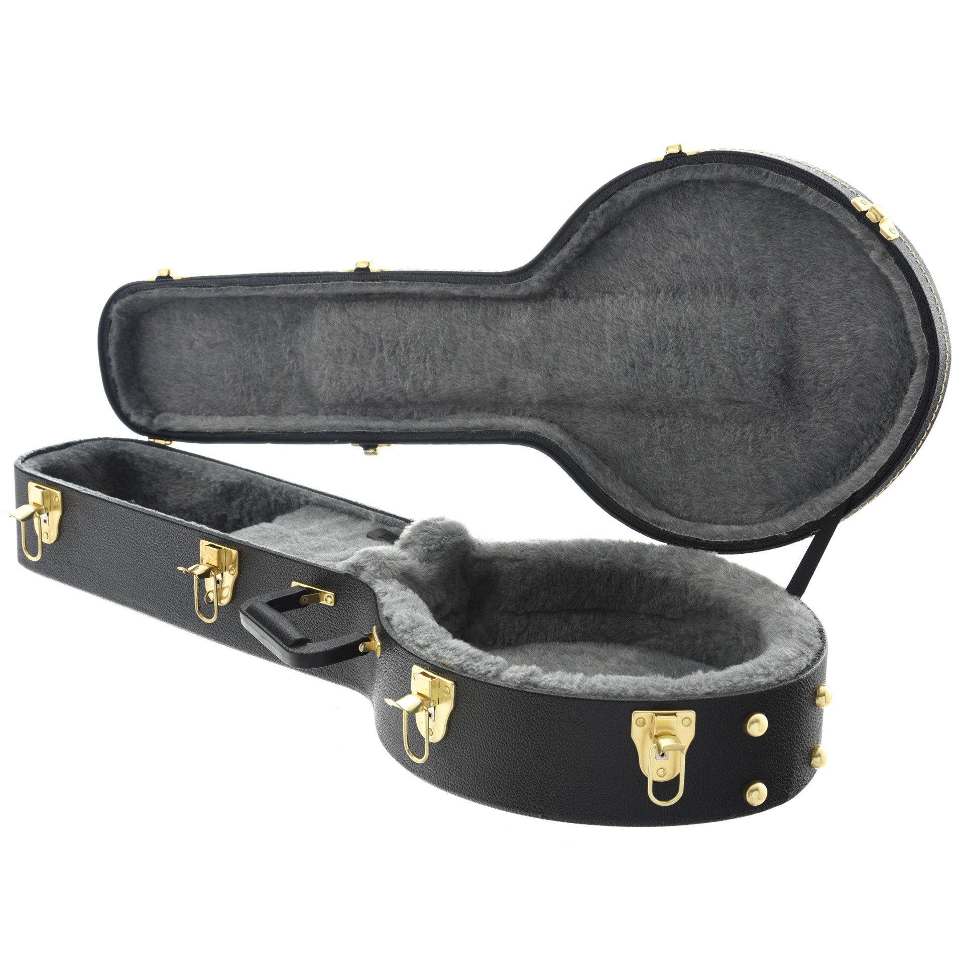 Gold Tone, Gold Tone BG-Mini Hardshell Case