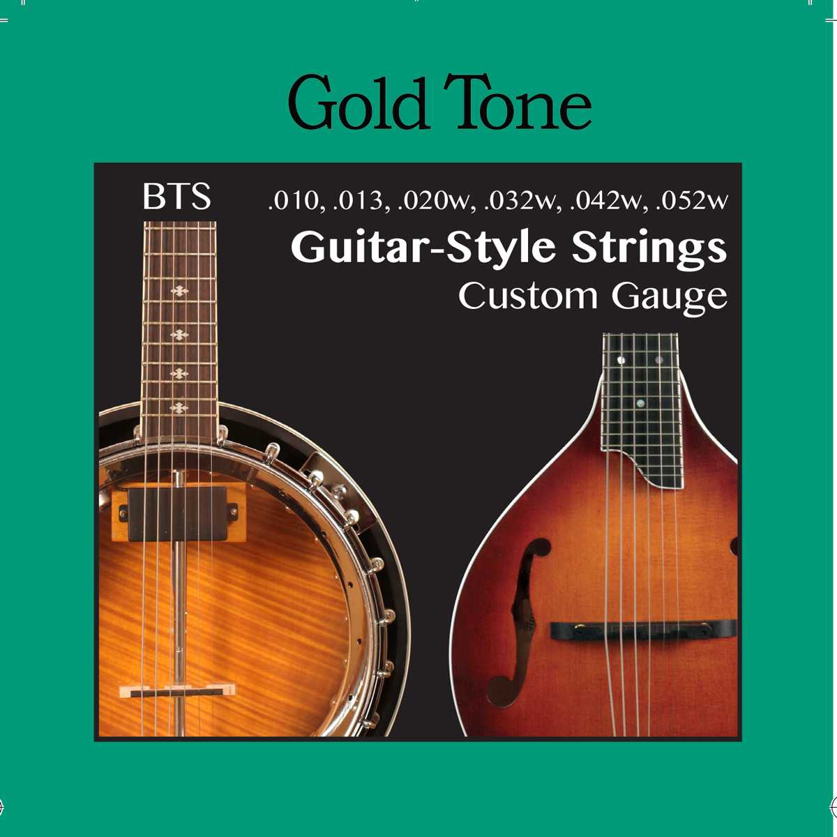 Gold Tone, Gold Tone BTS Banjitar / Manditar String Set