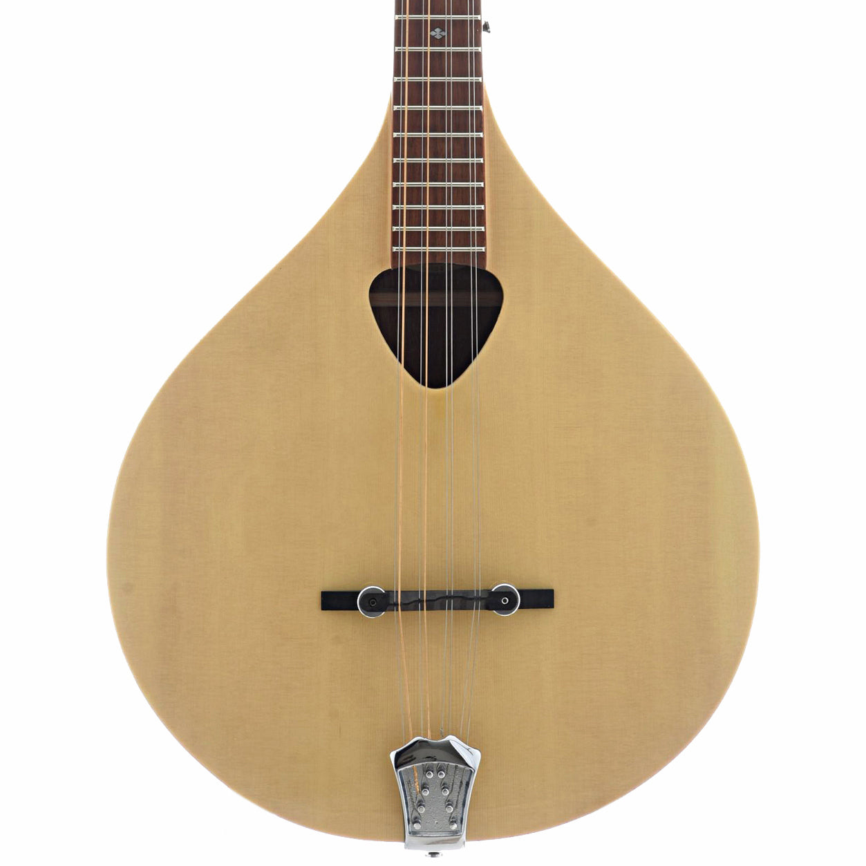 Gold Tone, Gold Tone BZ-500 Bouzouki & Case