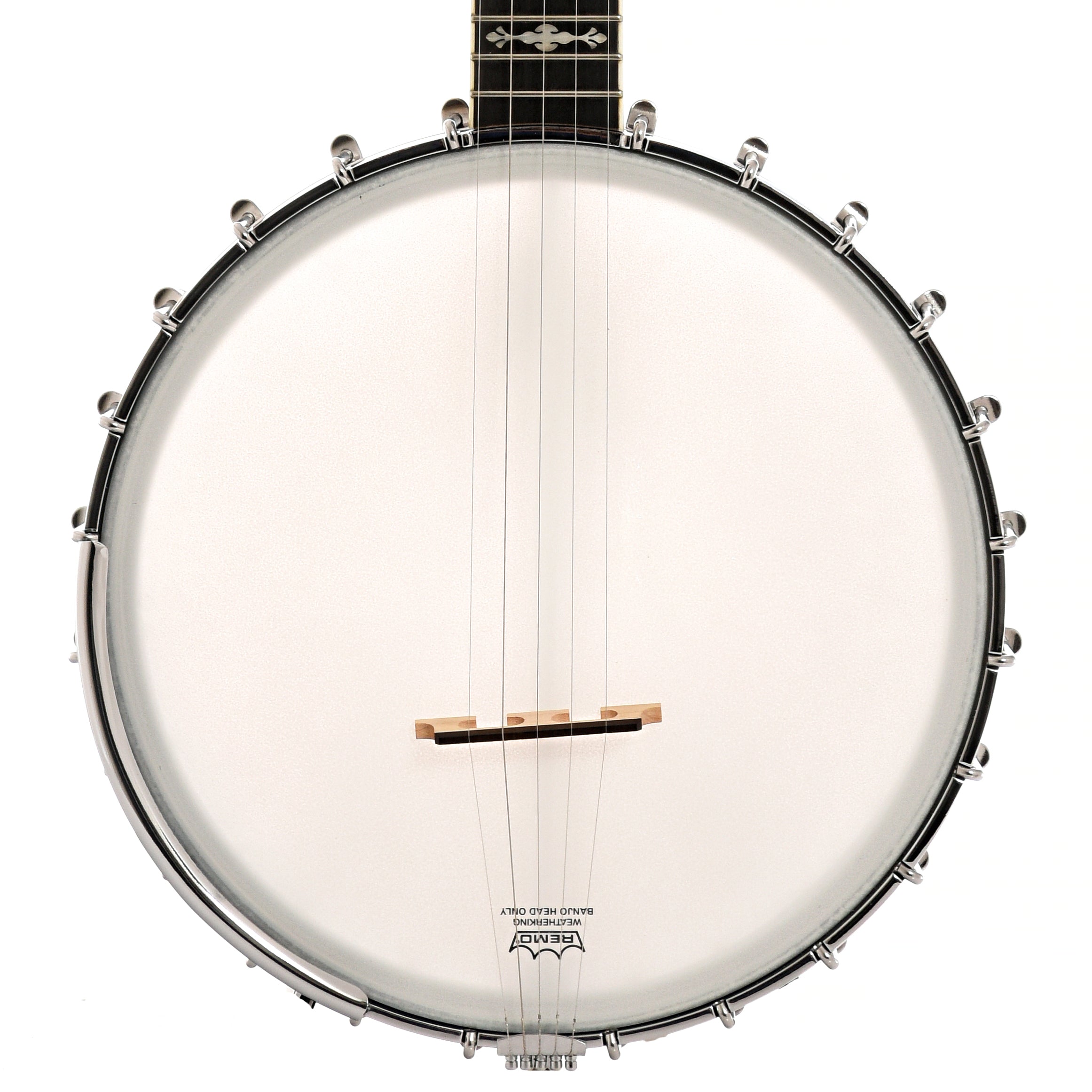 Gold Tone, Gold Tone OT800LN 5-String Long Neck Open Back Banjo (2023)