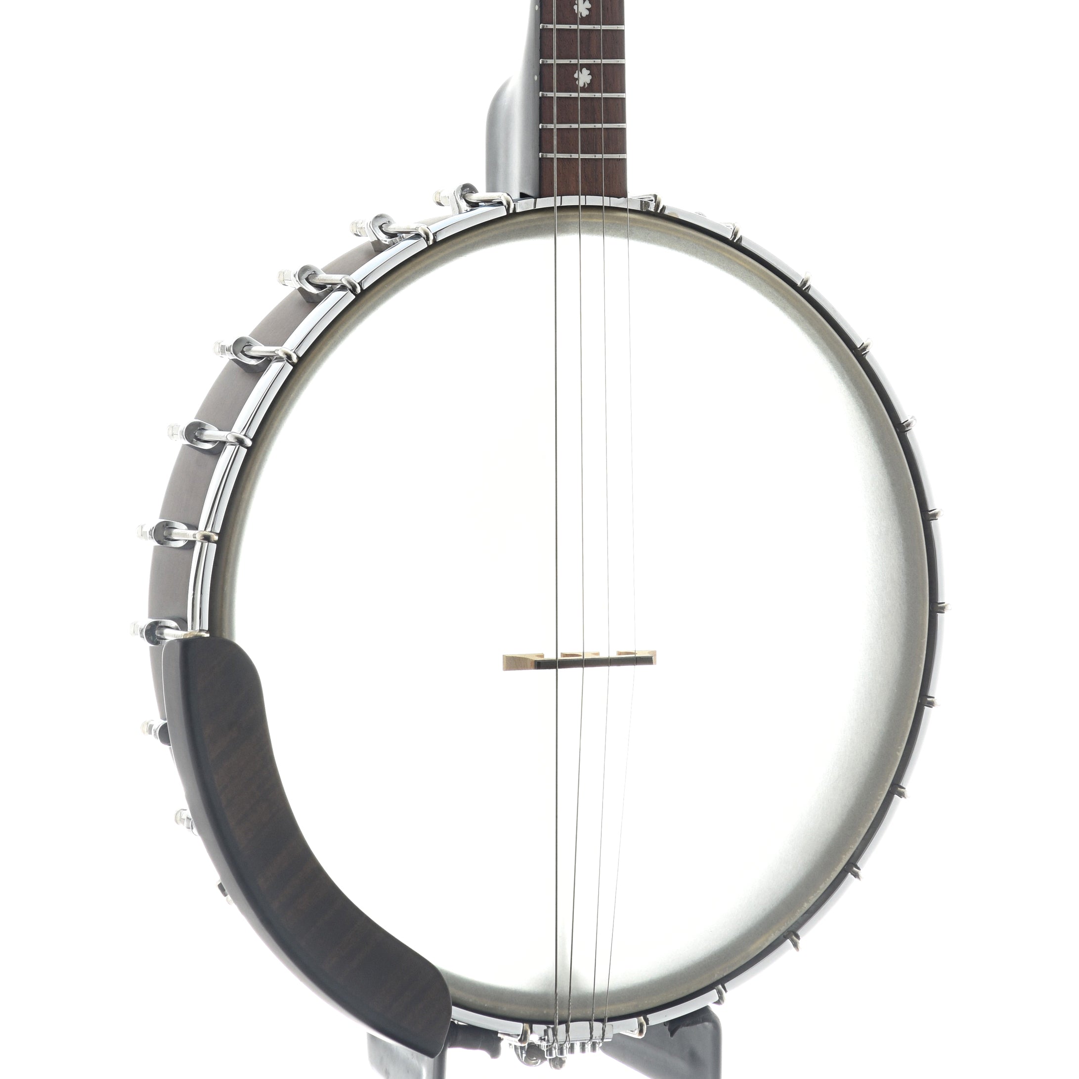 Gold Tone, Gold Tone Tenor Banjo & Gigbag, 12" Rim, 19 Frets