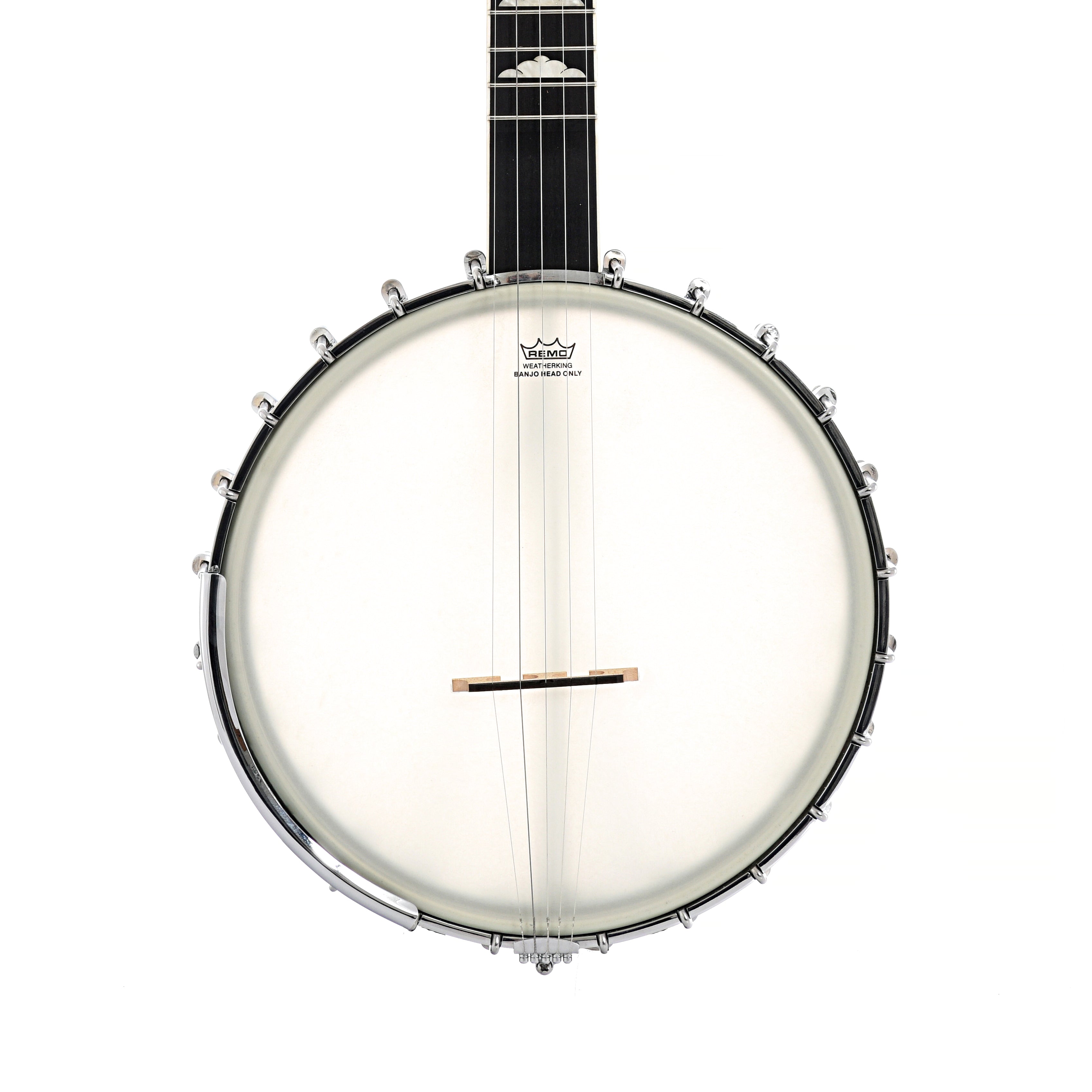 Gold Tone, Gold Tone WL-250 Whyte Laydie Open Back Banjo (2019)