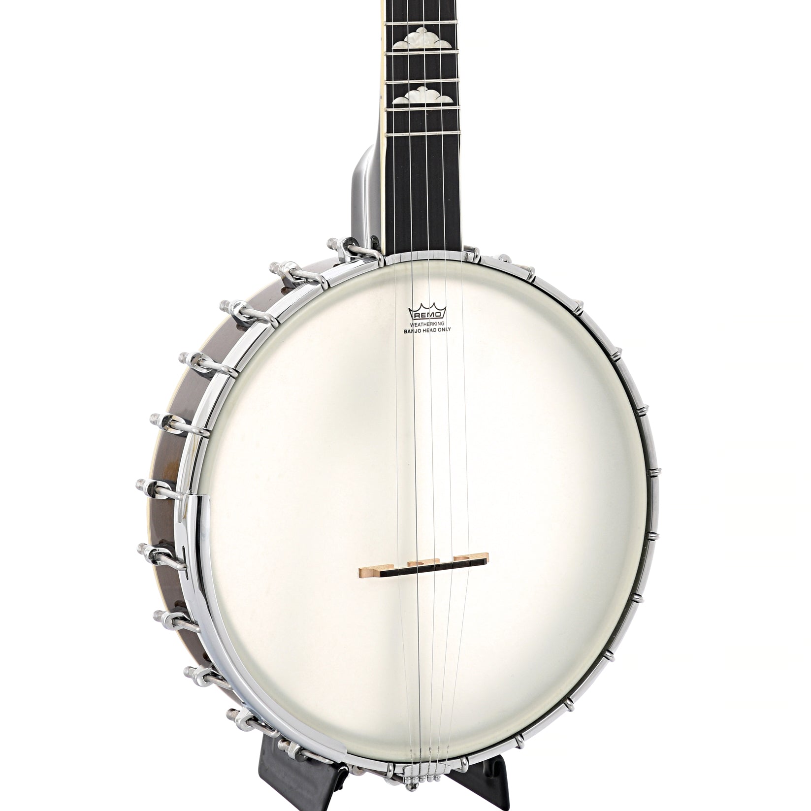 Gold Tone, Gold Tone WL-250 Whyte Laydie Open Back Banjo (2019)