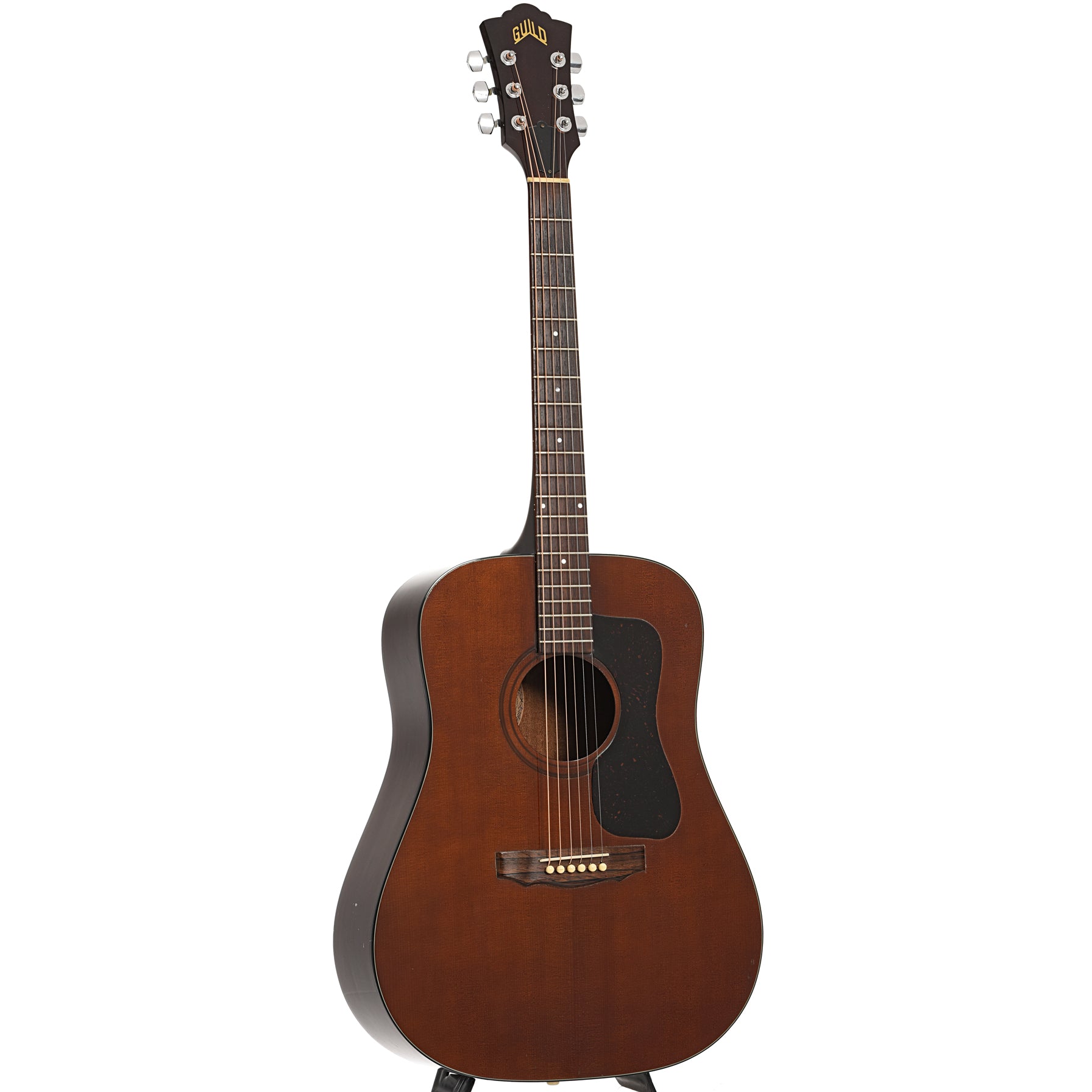 Guild, Guild D25M Acoustic Guitar (1981)